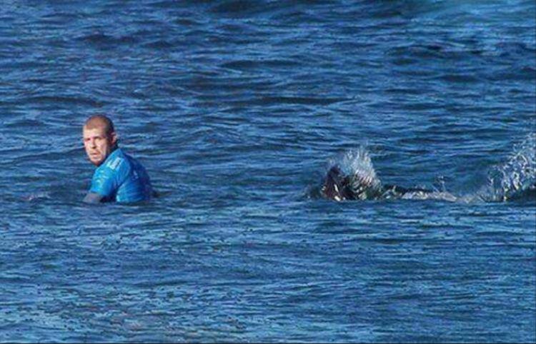 浪漫衣裙